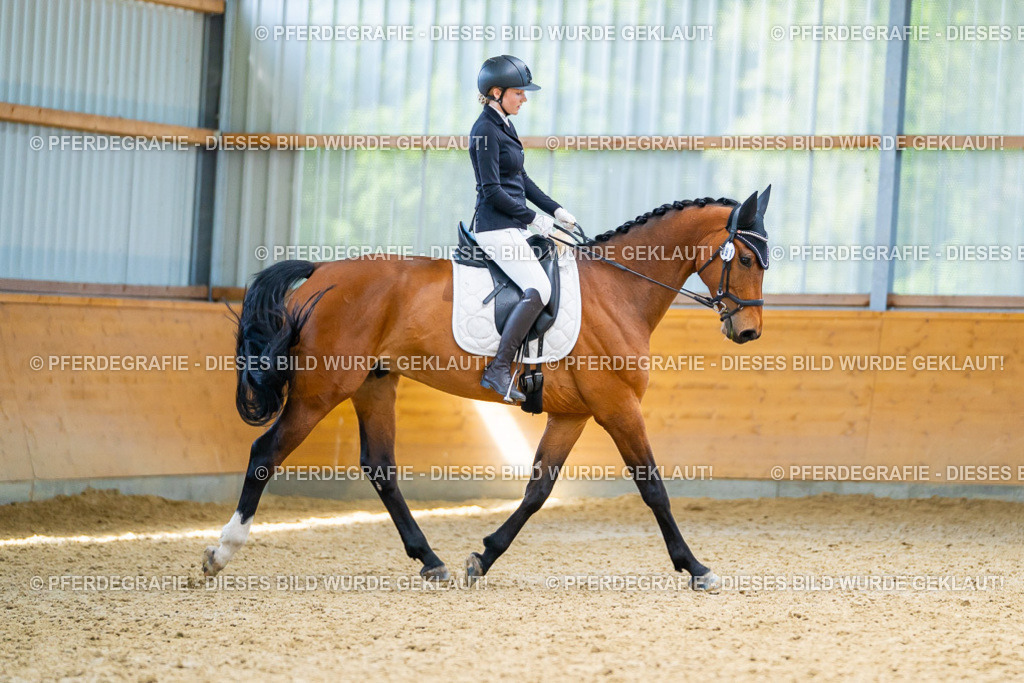 DSC09220 | Pferdegrafie