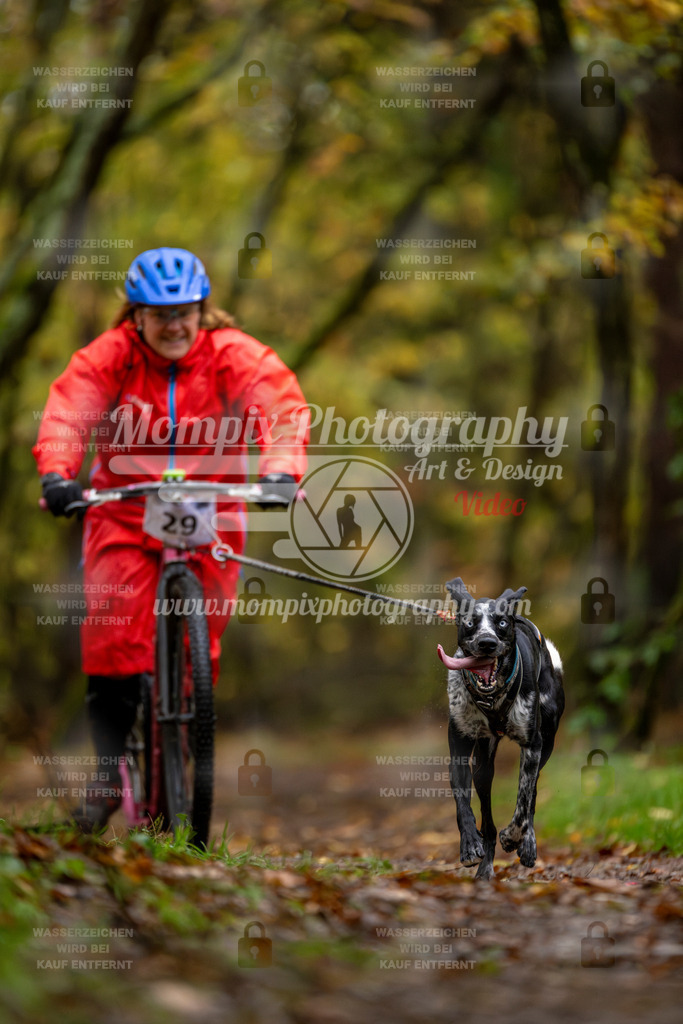 MompixPhotography_Bischwiller23_DS1-13 | PayLife