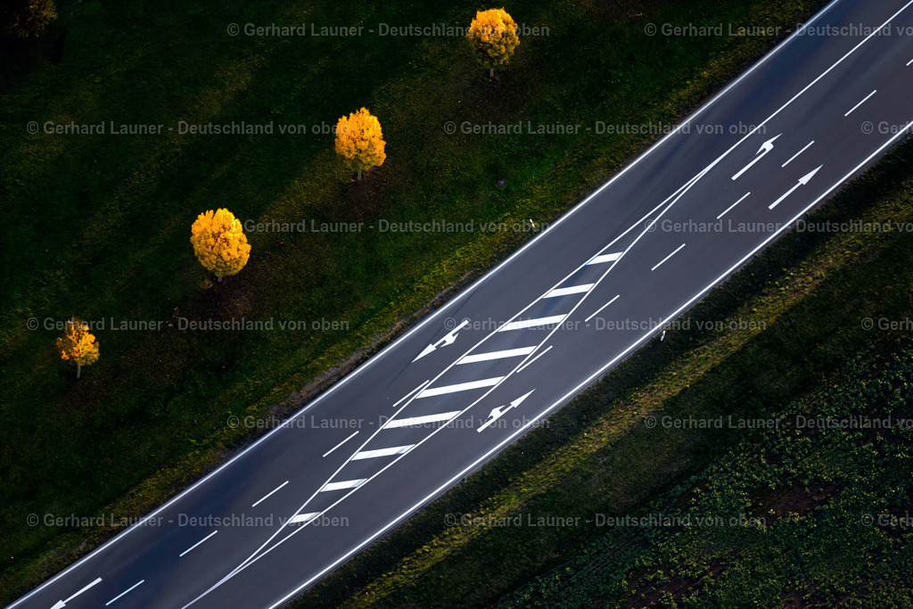 4042507 | herbstliche Bäume an der B8 bei Iphofen