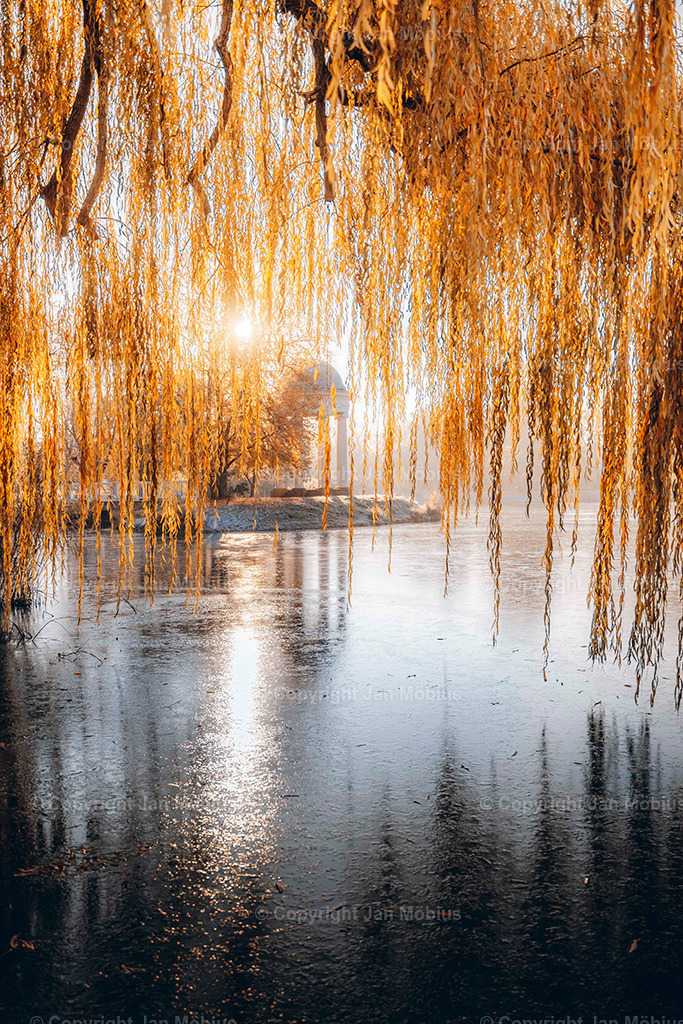 _DSC5187 | Leipzig Wandbilder Drucke Prints Leinwand Stadtmotive Leipzig Fotosdruck Kunstdrucke Bilder Leipzig Stadtansichten Acrylglasbilder Leipzig Wanddeko Fine Art Prints Wandbilder Büro Leipzig Bilder Praxis Zuhause Bilderdruck Poster Posterlounge Kunstdrucke - Realisiert mit Pictrs.com