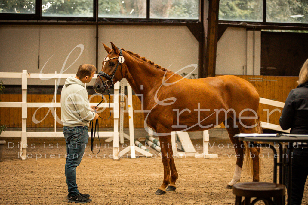 1FS_L00065 | Leoni Ertmer Photography - Realisiert mit Pictrs.com