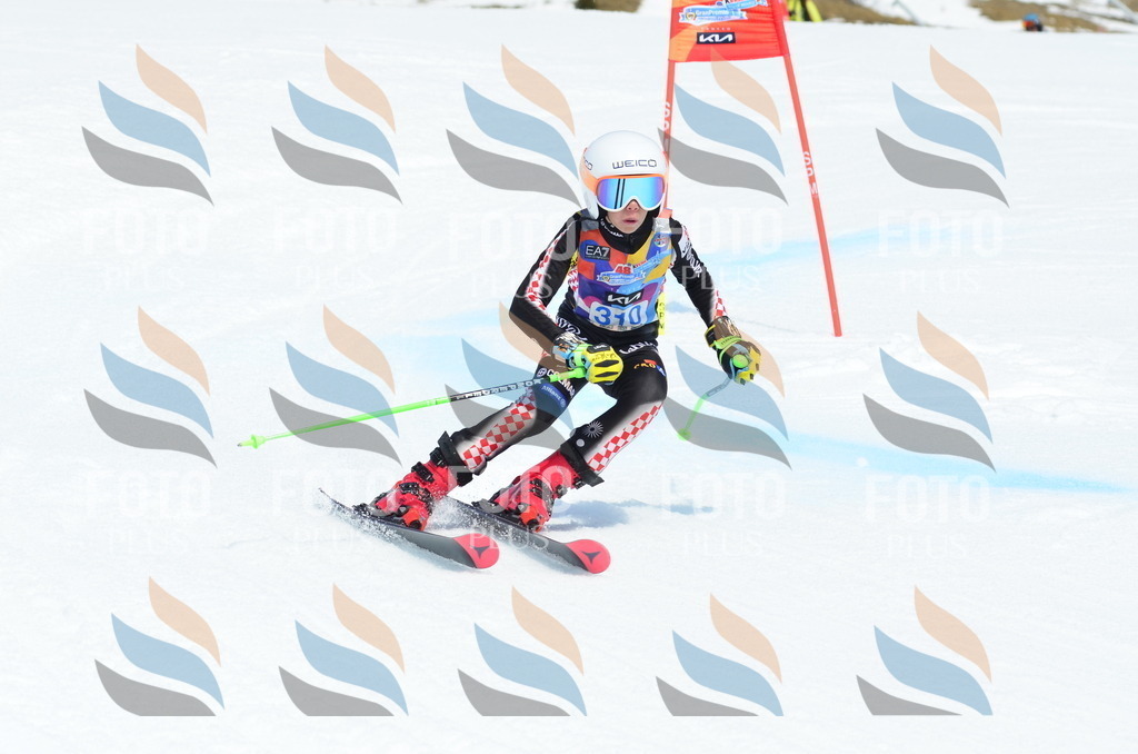 _ELE2323 | holidayphoto