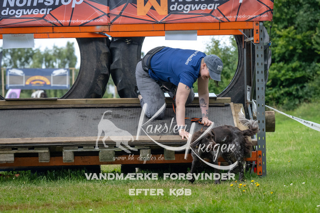 1536_ZZ93405 | kk-dogfotos