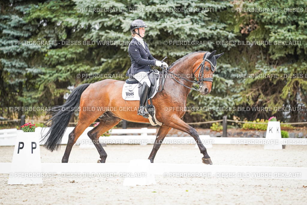 DSC08301 | Pferdegrafie