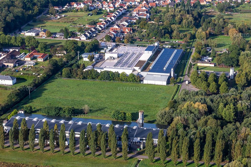 Luftbild: Cactus Druck & Verlags-GmbH im Ortsteil Schaidt in Wörth im Bundesland Rheinland-Pfalz in Deutschland. Foto: IMG_129744.jpg vom 30.09.2021 durch Werner Riehm/FLY-FOTO.de