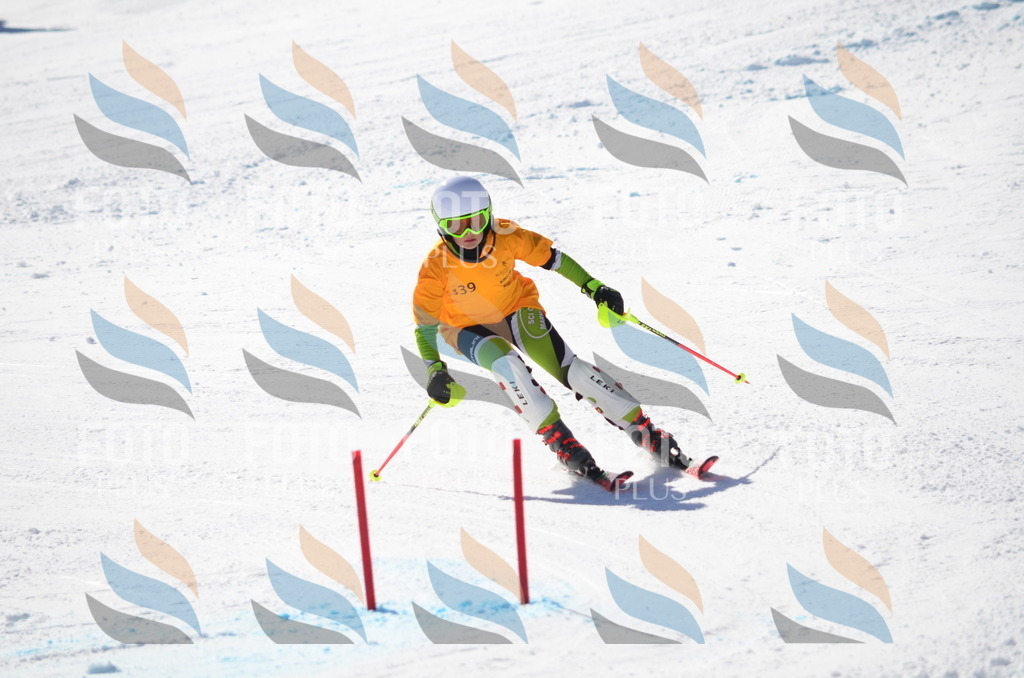 C9712 | holidayphoto