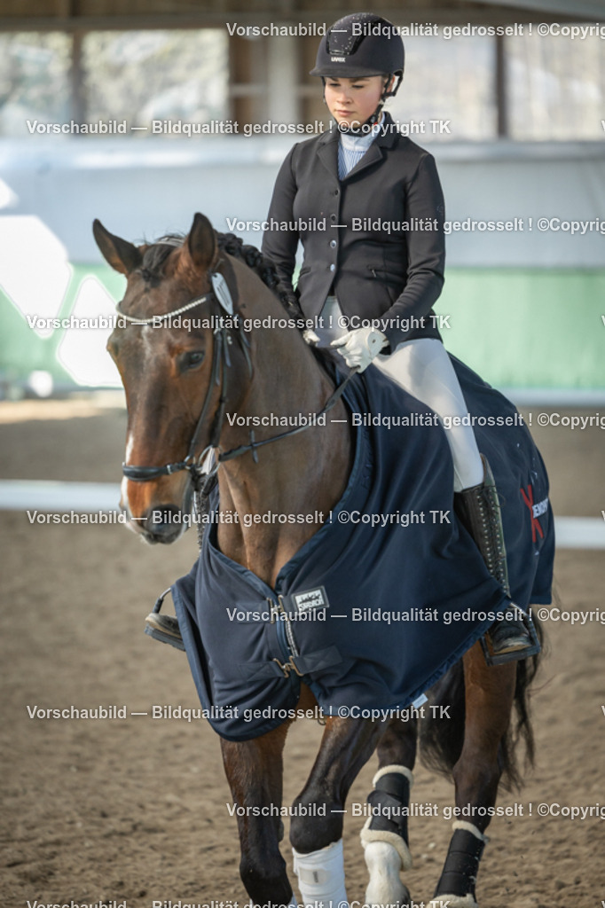 _D5A8644 | Emotionale Pferde- & People-Fotografie rund um Heidelberg, Leimen & Umgebung. Natürliche Fotos von Pferd, Mensch & Familie. Jetzt Termin sichern!