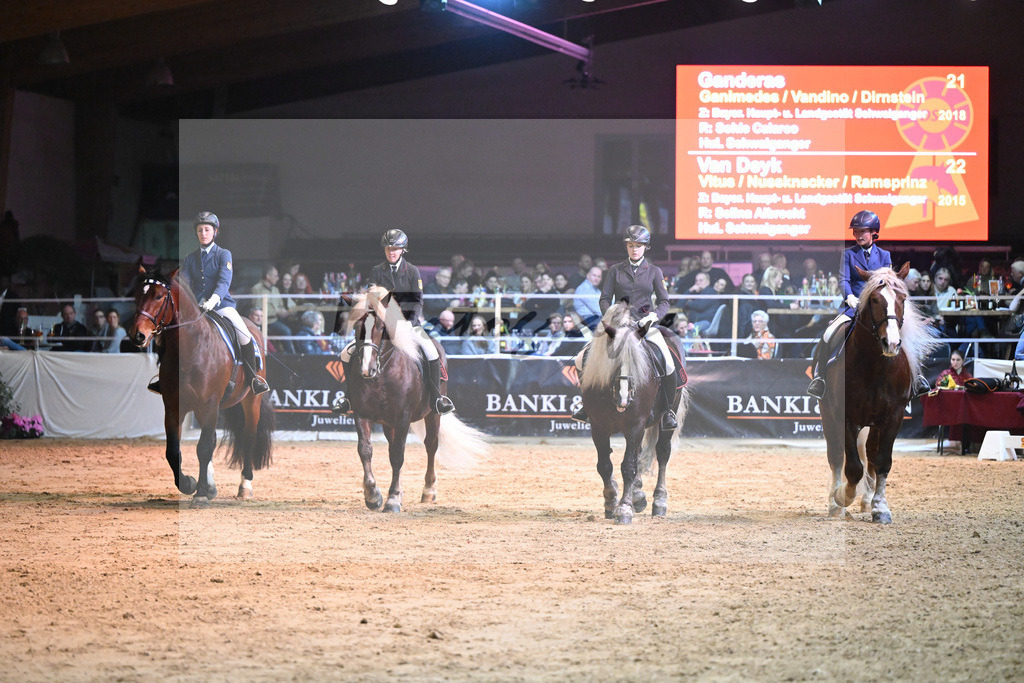 Kaltblutquadrille_1234561 | hf-fotografie - Realisiert mit Pictrs.com