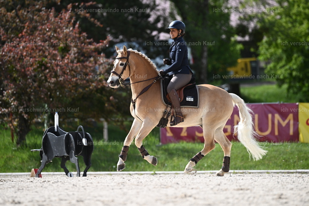 PI26_ST_Sara_Landvogt226_2247.JPG | working equitationturnier fotograf videograf stoibphotography marixx film working equitation deutschland reitsport turnierfotografie eventfotografie equestrian events