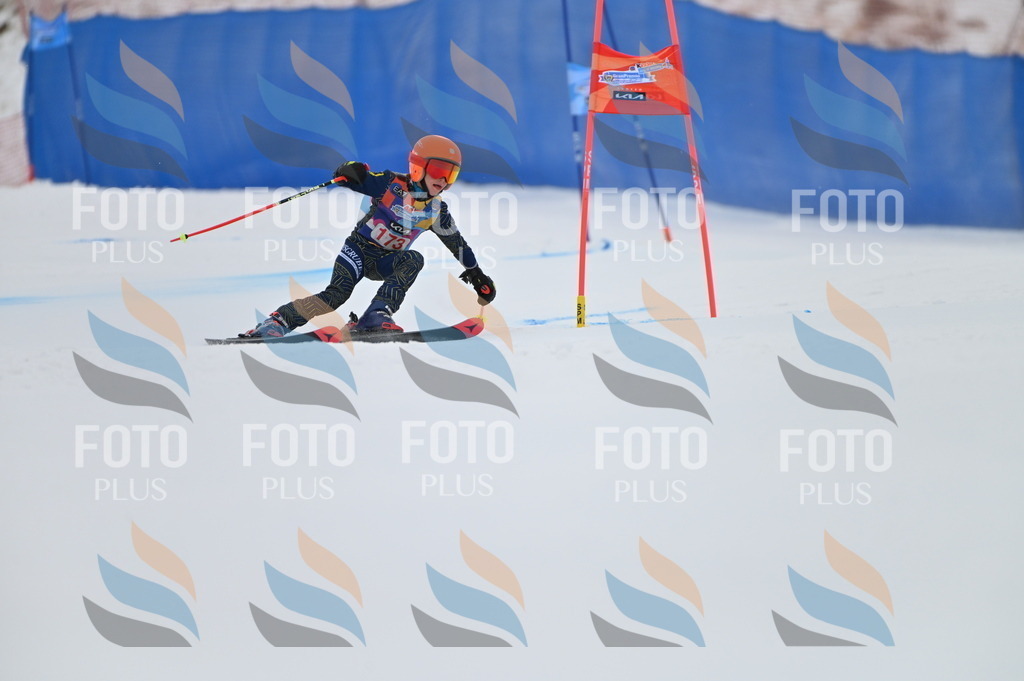 BGV_0725 | holidayphoto