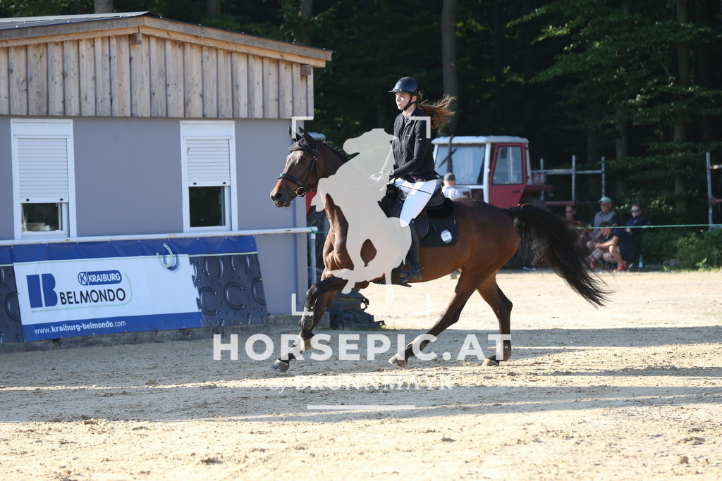 DL2Q1743 | Willkommen bei Brunnmayr - Design & Fotografie – Ihrem Spezialisten für Reitturniere und Pferdeveranstaltungen in Oberösterreich, Salzburg und Bayern! Seit über 17 Jahren sind wir leidenschaftlich dabei.