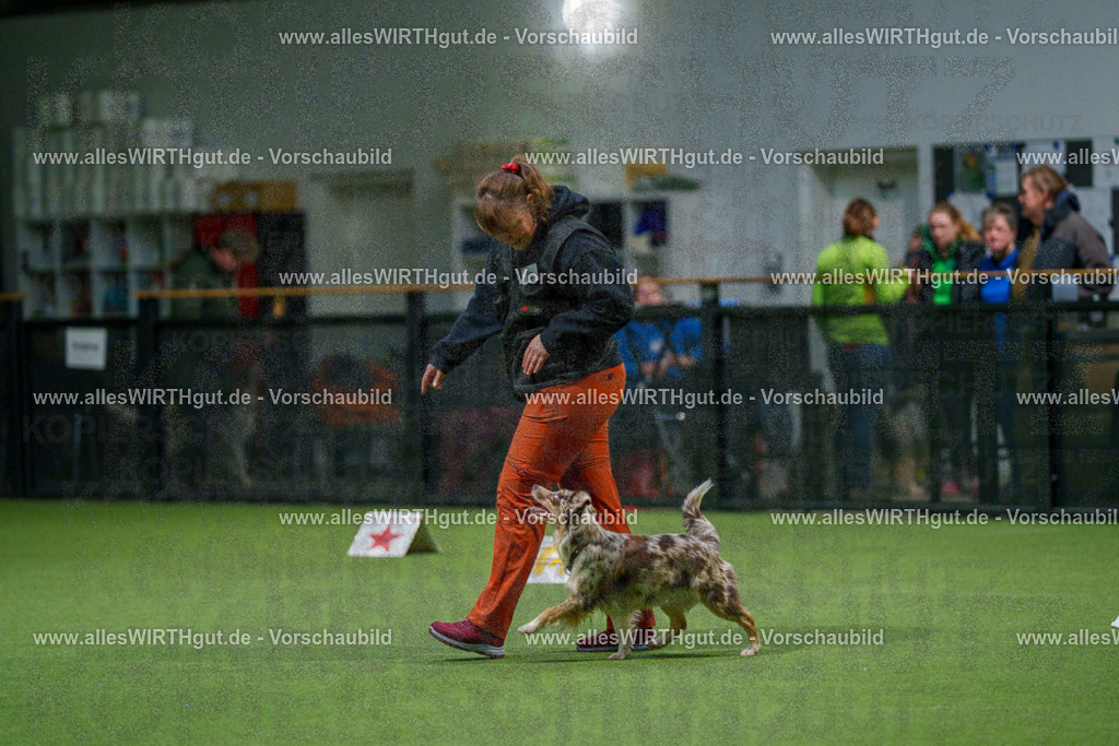 7R504634 | Professionelle Tierfotografie in Mönchengladbach von Daniel Wirth (allesWIRTHgut). Liebevolle & natürliche Bilder von Hunden & Katzen für unvergessliche Erinnerungen.