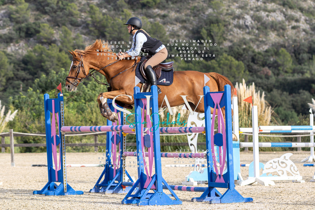 IMG_4625 | s-jay-photography - Realisiert mit Pictrs.com