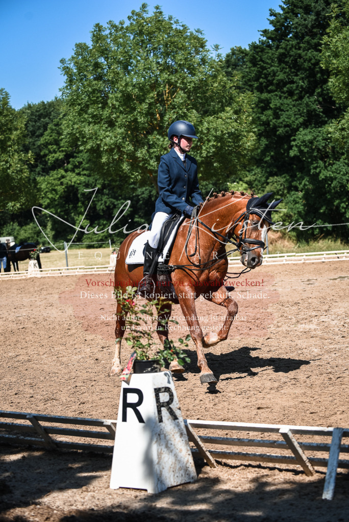 DSC_3551 | Pferde- und Turnierfotografie in Westsachsen. Pferdeportraits, Auftragszeichnungen und intuitive Kunst.