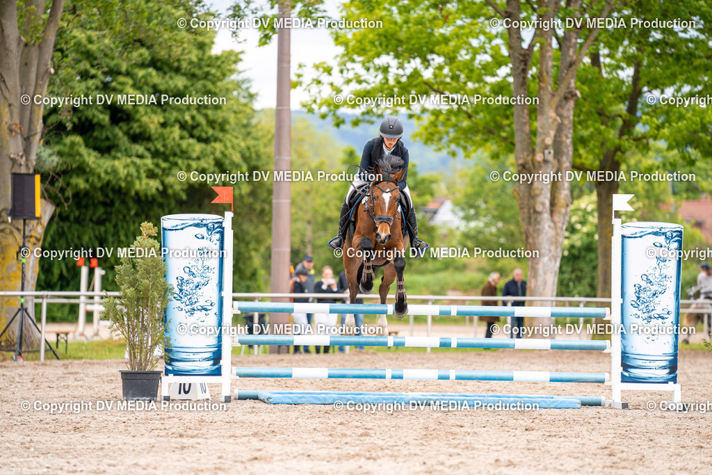 Eppelheim Tag 1-47 | dv-media-shop - Realisiert mit Pictrs.com