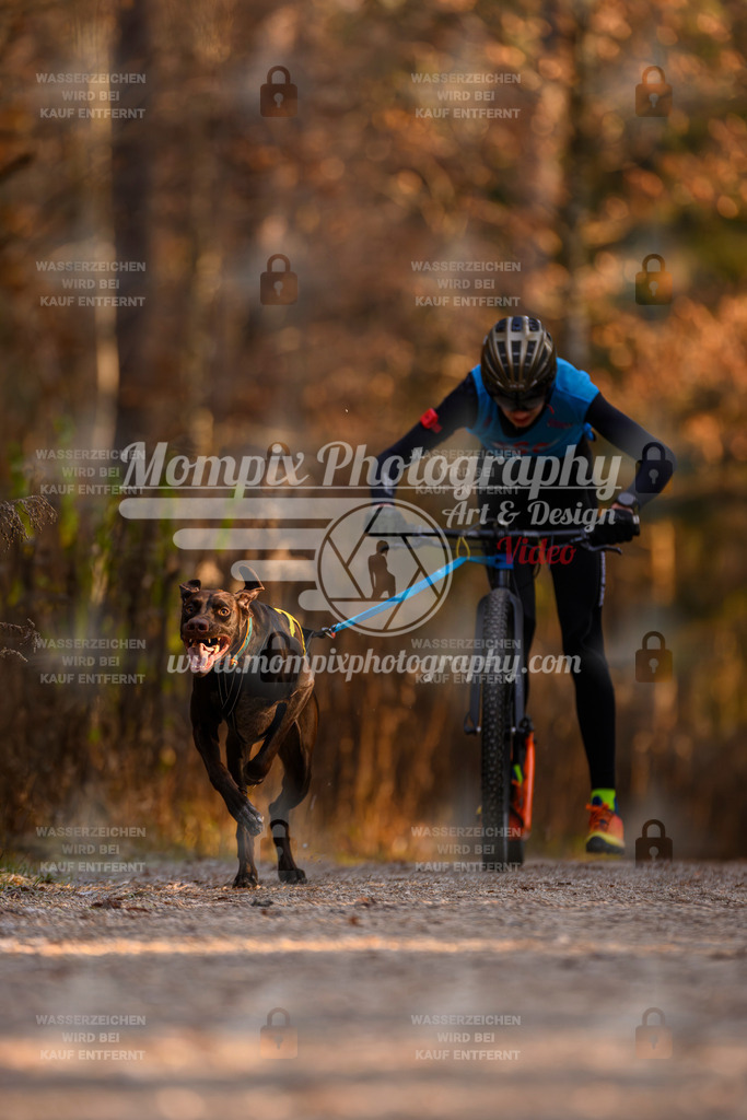 MompixPhotography_DM_AKDM_SO_2025_Scooter-78 | PayLife