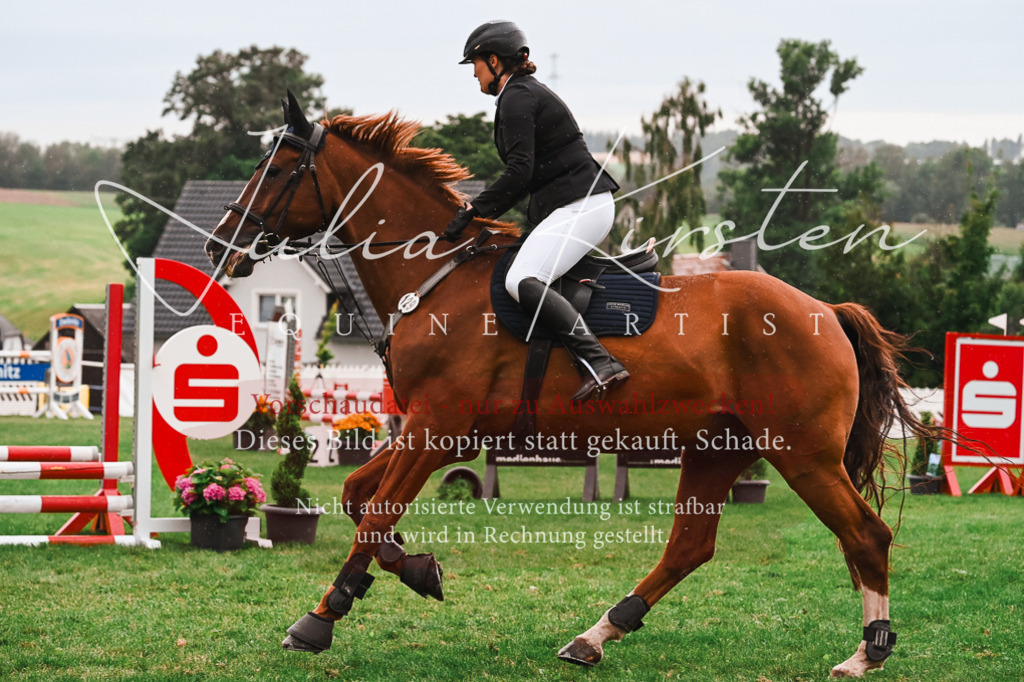 DSC_6429 | Pferde- und Turnierfotografie in Westsachsen. Pferdeportraits, Auftragszeichnungen und intuitive Kunst.