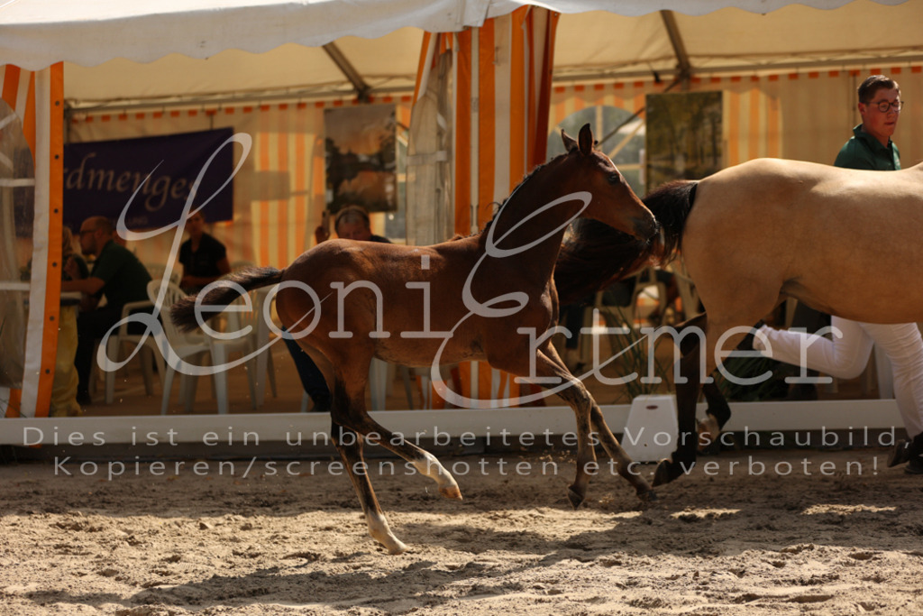 08.DoRPS00018 | Leoni Ertmer Photography - Realisiert mit Pictrs.com