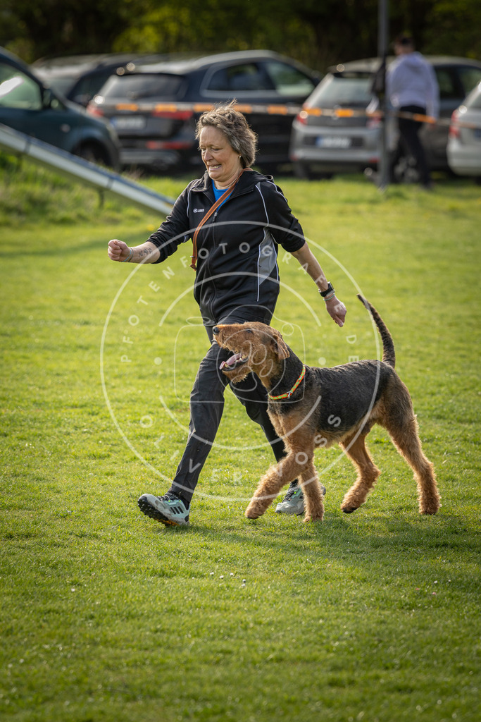 Pfotenfotografie_DV3A4838 | Hundefotografie, Tierfotograf, Pfotenfotografie, Fotoshooting Hund, Hunde Portrait, Hundesport, Hundeportraits, Heideshooting, Hunde, Sportfotograf, Hundefotograf, Turnierhundsport, THS,  - Realisiert mit Pictrs.com
