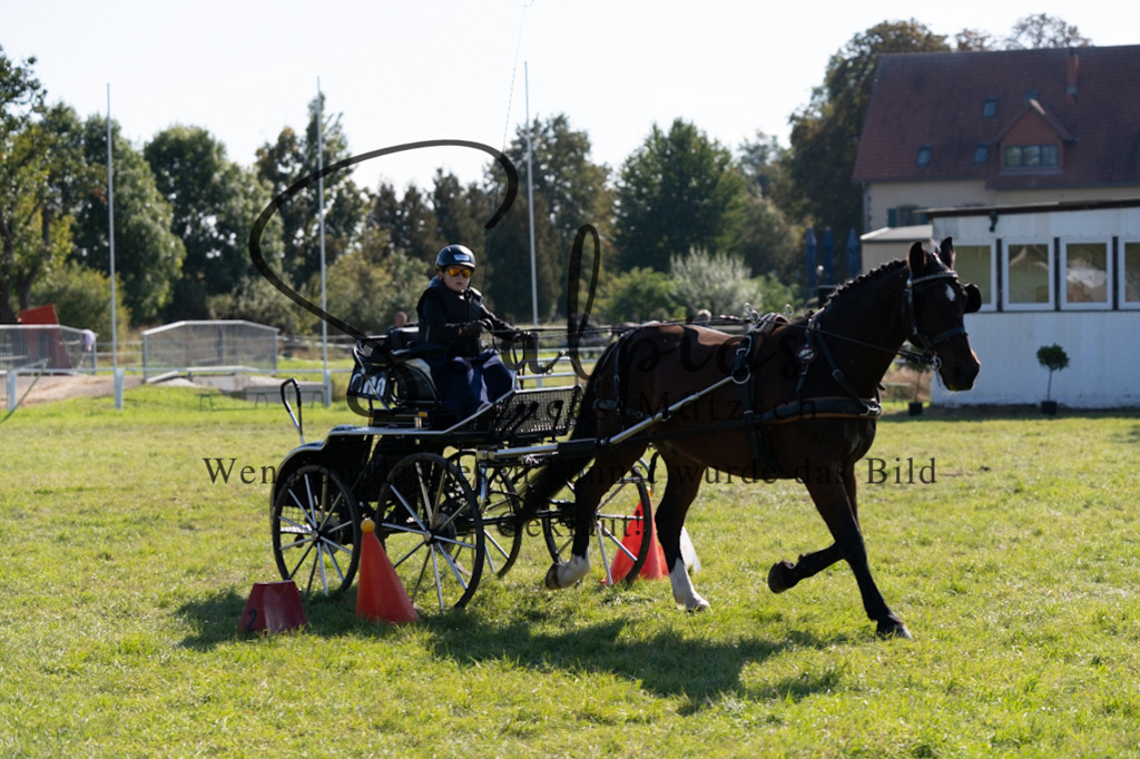 A7V04342 | Pferdefotograf