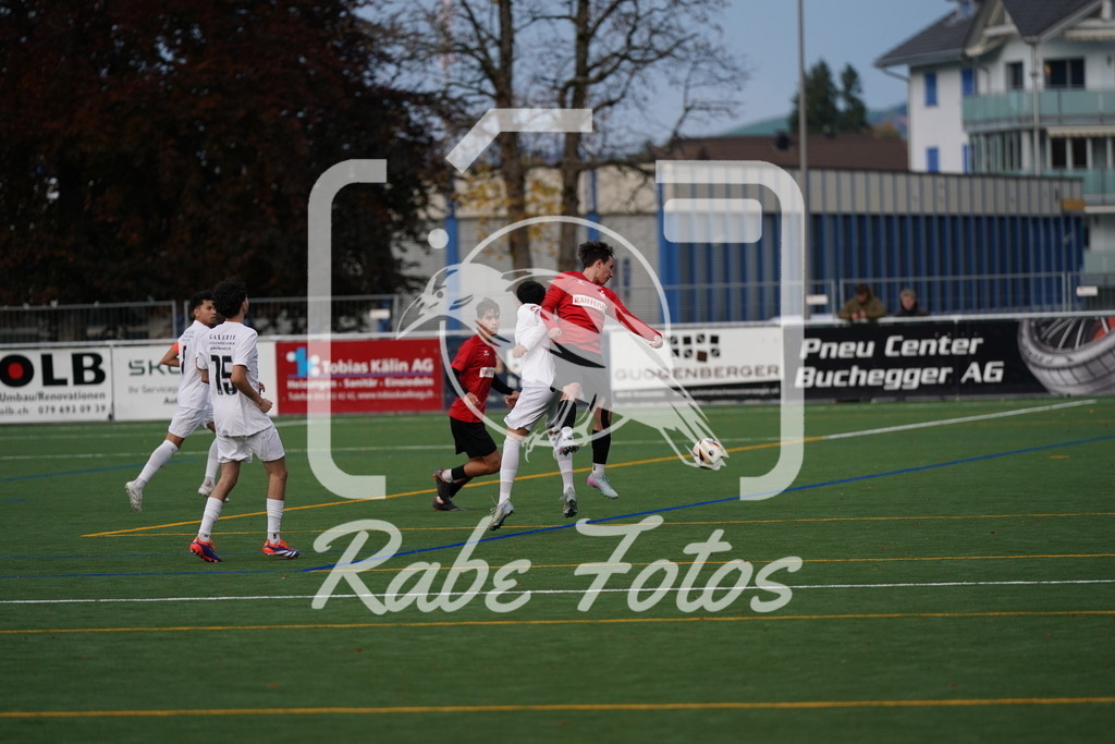 DSC00532 | rabefotos