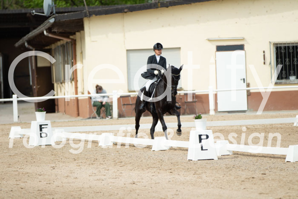 IMG_1524 | Creatify Fotografie