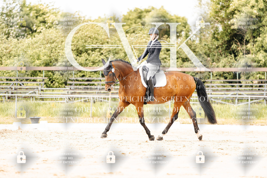 CK900931 | Turnierfotografie Pferdefotografie Trier Rheinland-Pfalz Pferdesport Reitsport Tierfotografie Sportfotografie Pferdevideo Pferdevideografie Equestrianvideography equestrianphotography  - Realisiert mit Pictrs.com