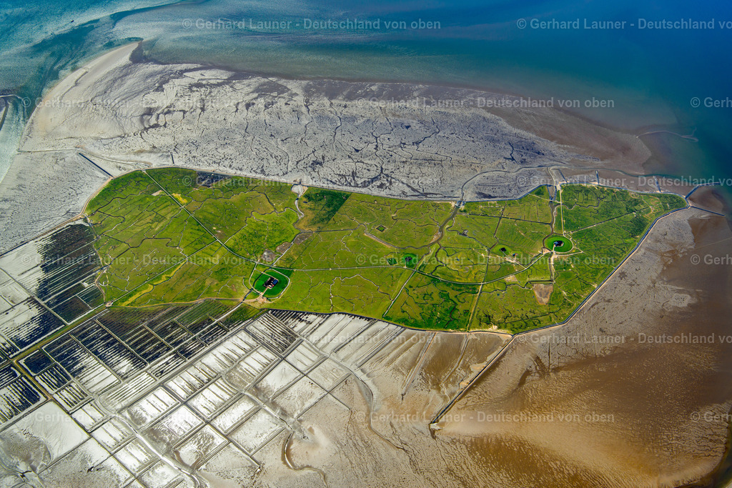 3801626 | Hallig Nordstrandischmoor, Nationalpark Schleswig-Holsteinisches Wattenmeer