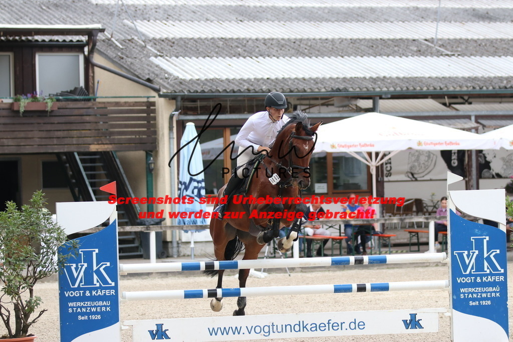 IMG_9981 | lmwpictures - Realisiert mit Pictrs.com