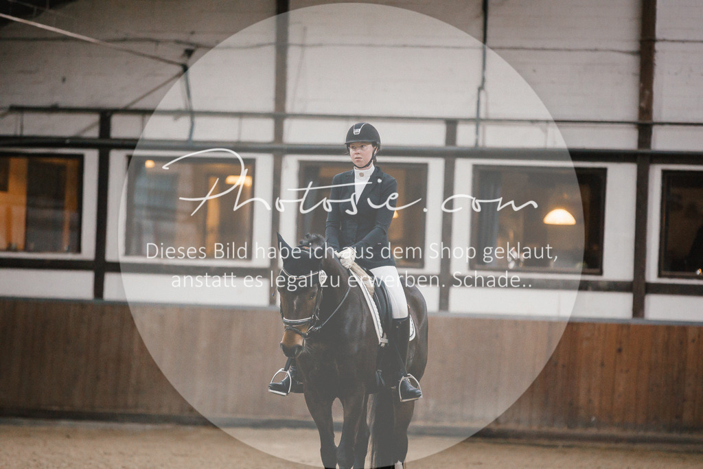 3I6A5805 | Stimmungsvolle Portraits und Reitsportfotografie im Ruhrgebiet und im Münsterland.

Pferdefotografie, Hundefotografie, Tierfotografie, Reportagen, Portraits von Tier und Mensch, Turnierfotografie in Bochum, Recklinghausen, Marl, Haltern am See, Dülmen.. - Realisiert mit Pictrs.com