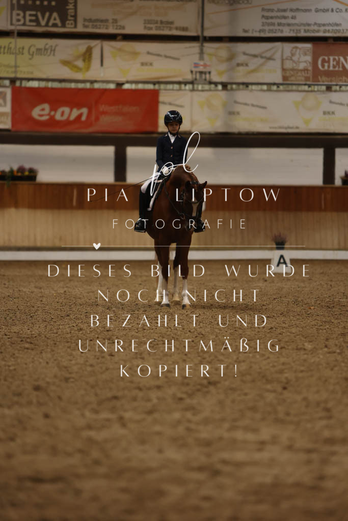 IMGM9189 | pl-fotografie