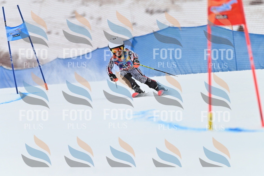 BGV_9841 | holidayphoto