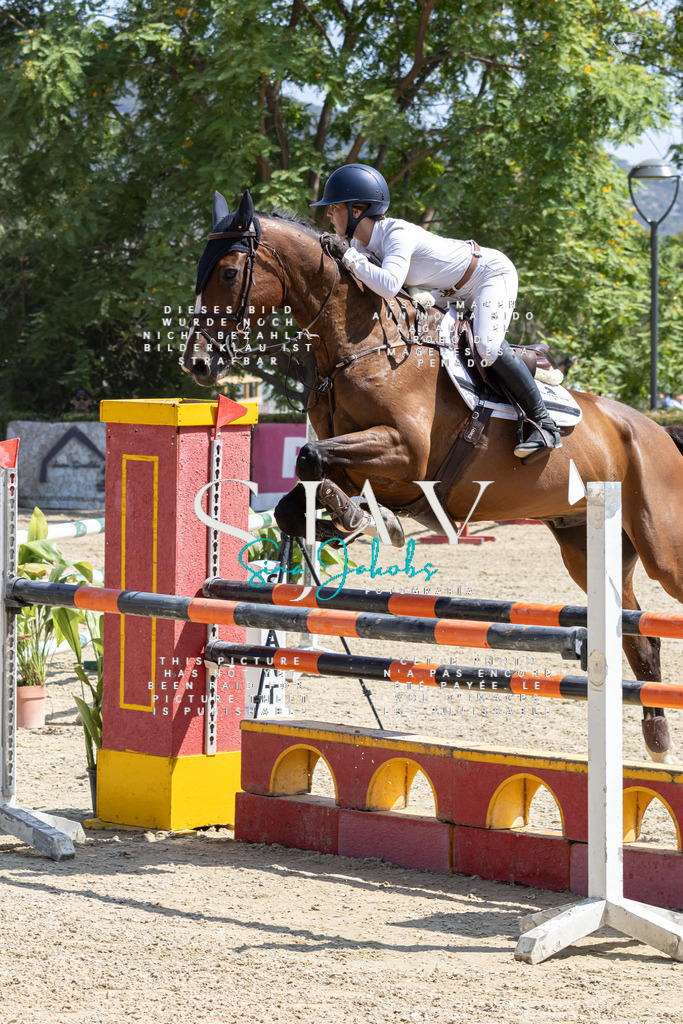 IMG_3451 | s-jay-photography - Realisiert mit Pictrs.com