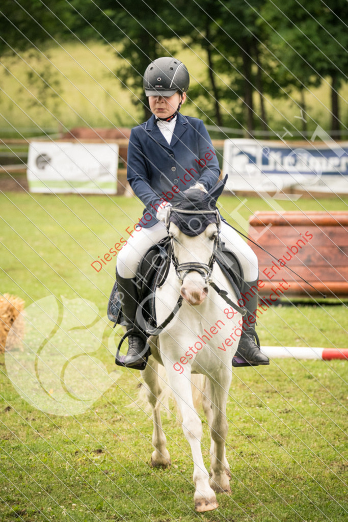 DSC_4822 | Sport-, Event- und Tierfotos in Profiqualität. Einfach auswählen, bestellen und herunterladen. Dein Moment – perfekt festgehalten.