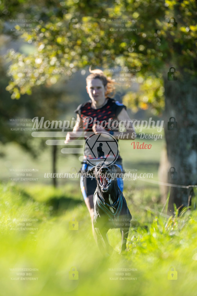 MompixPhotography_20TSB_E3_Run-182 | PayLife