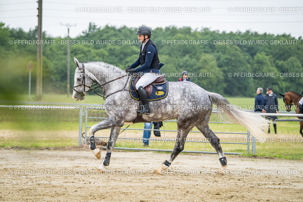 DSC02086 | Pferdegrafie