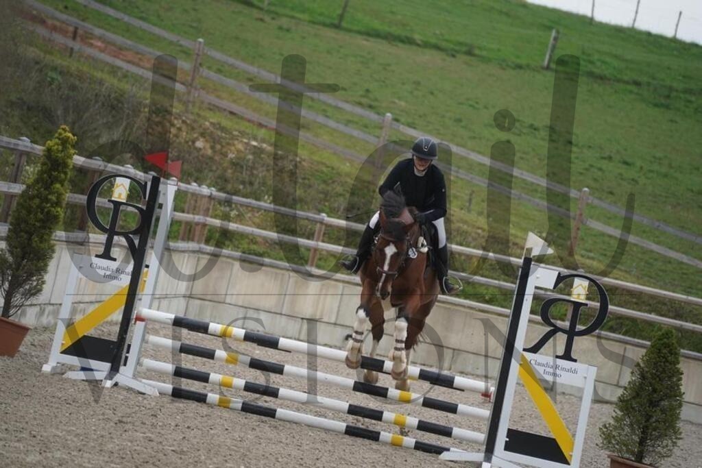 pfmagarethenhof (196) | d.tail Visions - Shop - Realisiert mit Pictrs.com