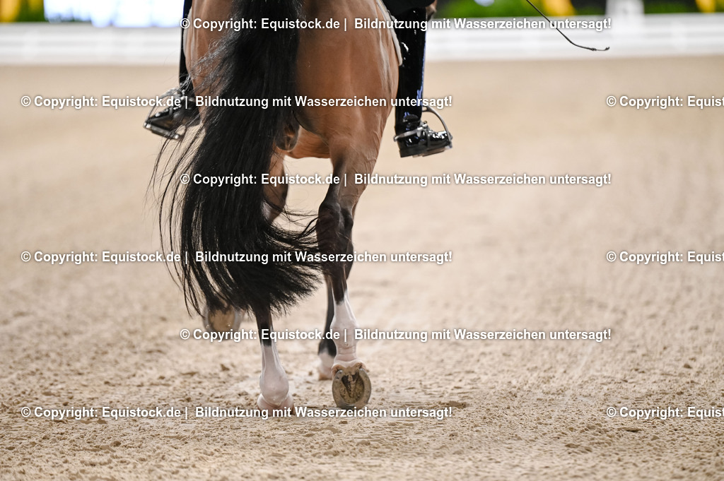 20251112_Dressur_iWest_TOMSPIC_00680068 | Foto: Thomas Hartig