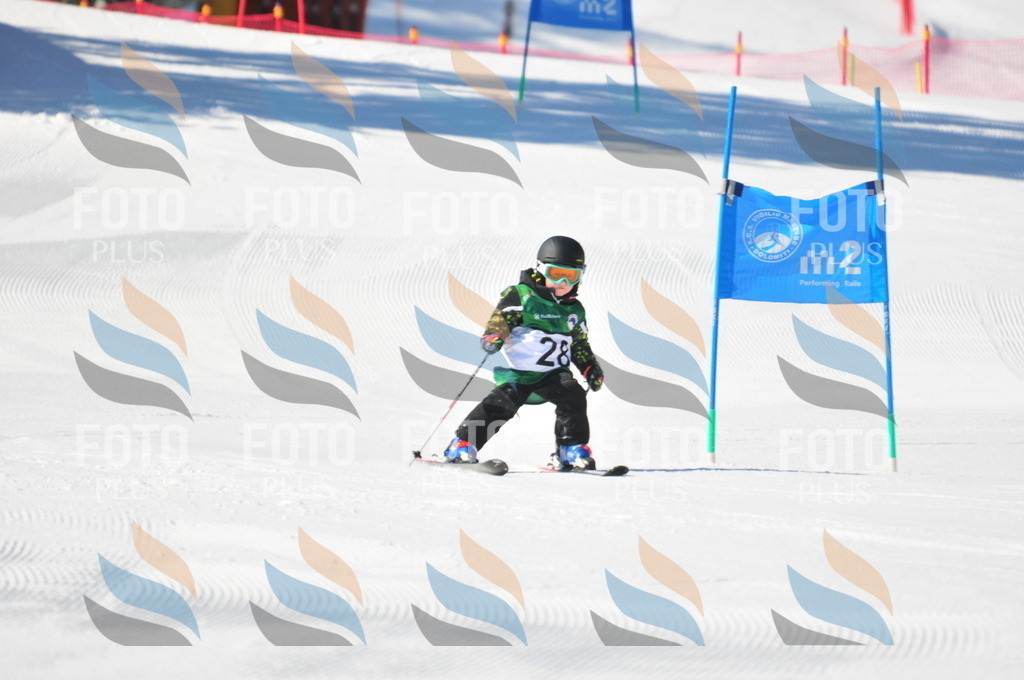 C2603 | holidayphoto