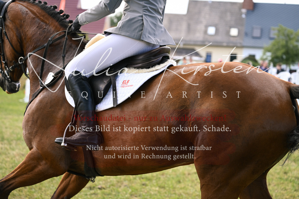 DSC_0569 | Pferde- und Turnierfotografie in Westsachsen. Pferdeportraits, Auftragszeichnungen und intuitive Kunst.