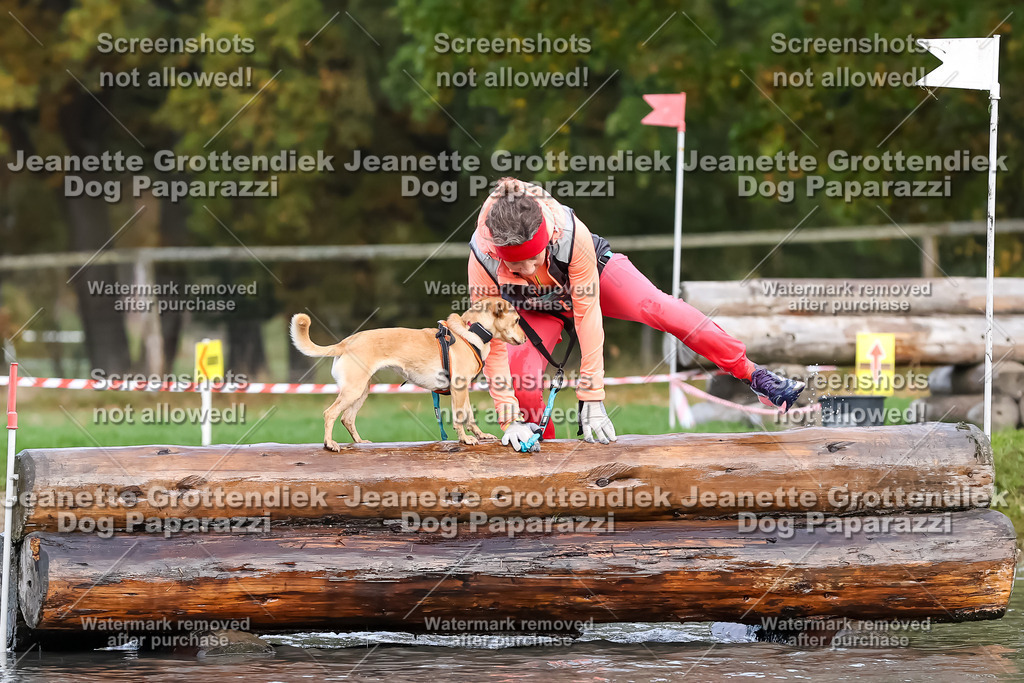 Dog Paparazzi - Strongdog 10-25-6841 | Dog Paparazzi Jeanette Grottendiek Fotografie & Videografie - Realisiert mit Pictrs.com