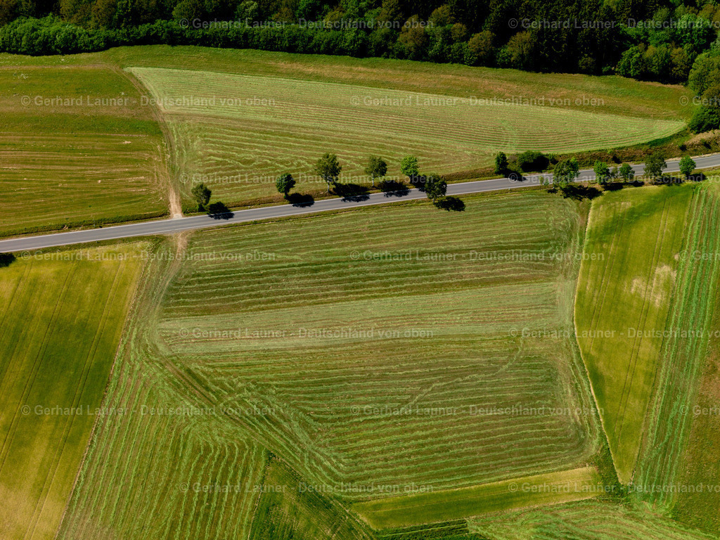 Feldstrukturen-Meiserich-3114128 | Feldstrukturen bei Meiserich