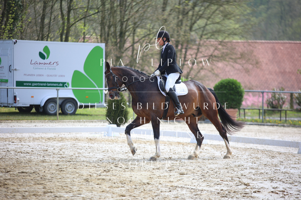 IMGT4591 | pl-fotografie