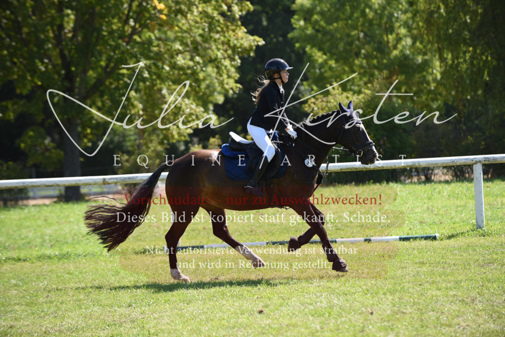 DSC_9595 | Pferde- und Turnierfotografie in Westsachsen. Pferdeportraits, Auftragszeichnungen und intuitive Kunst.