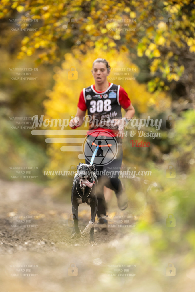 MompixPhotography_ICF_WC_2024_SA_Run_-170 | PayLife