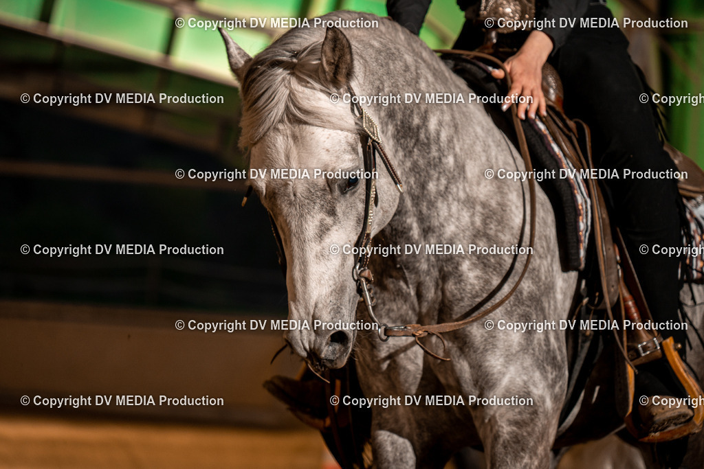 BA301432 | dv-media-shop - Realisiert mit Pictrs.com