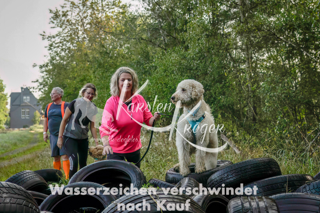 1015_ZZ94113-Bearbeitet | kk-dogfotos
