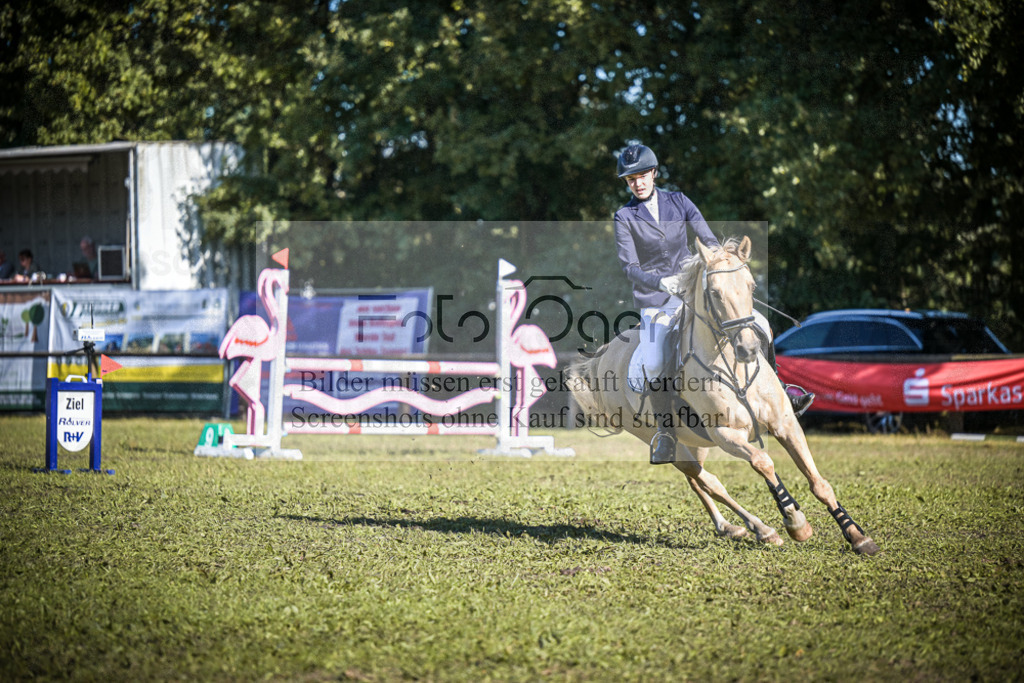 DOS_1668 | Entdecke hochwertige Reitturnierfotos von Foto Oger. Professionell, emotional und authentisch – jetzt Lieblingsmomente im Shop bestellen.Deutschlandweite Turnierfotografie. - Realisiert mit Pictrs.com