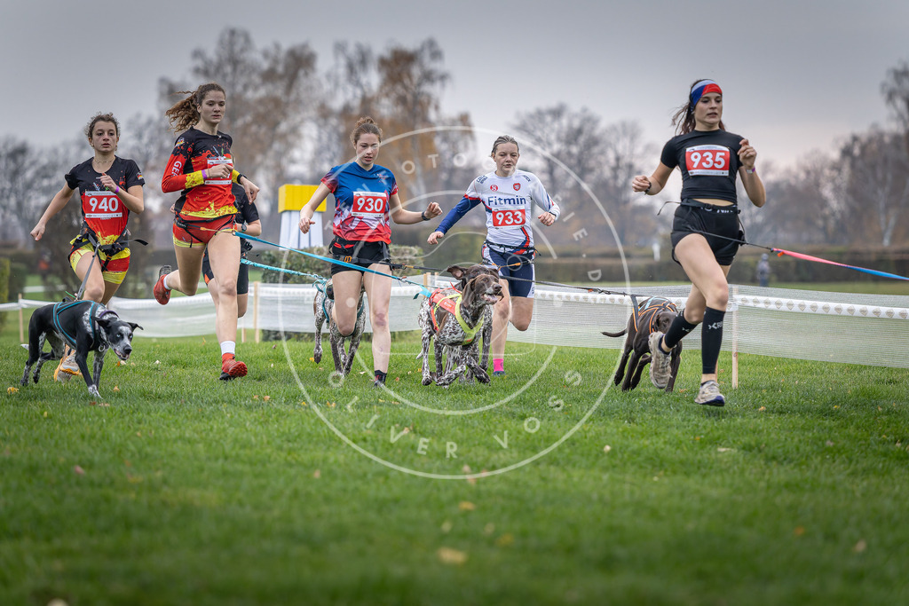 CaniXpix_DV3A7110 | Hundefotografie, Tierfotograf, Pfotenfotografie, Fotoshooting Hund, Hunde Portrait, Hundesport, Hundeportraits, Heideshooting, Hunde, Sportfotograf, Hundefotograf, Turnierhundsport, THS,  - Realisiert mit Pictrs.com