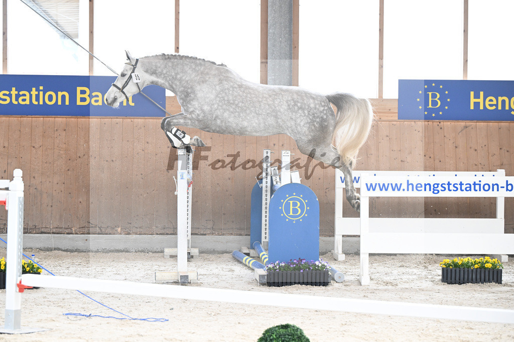 Kat-Nr. 55 Vilma v. Vingino_Zimmermann_5250434 | hf-fotografie - Realisiert mit Pictrs.com